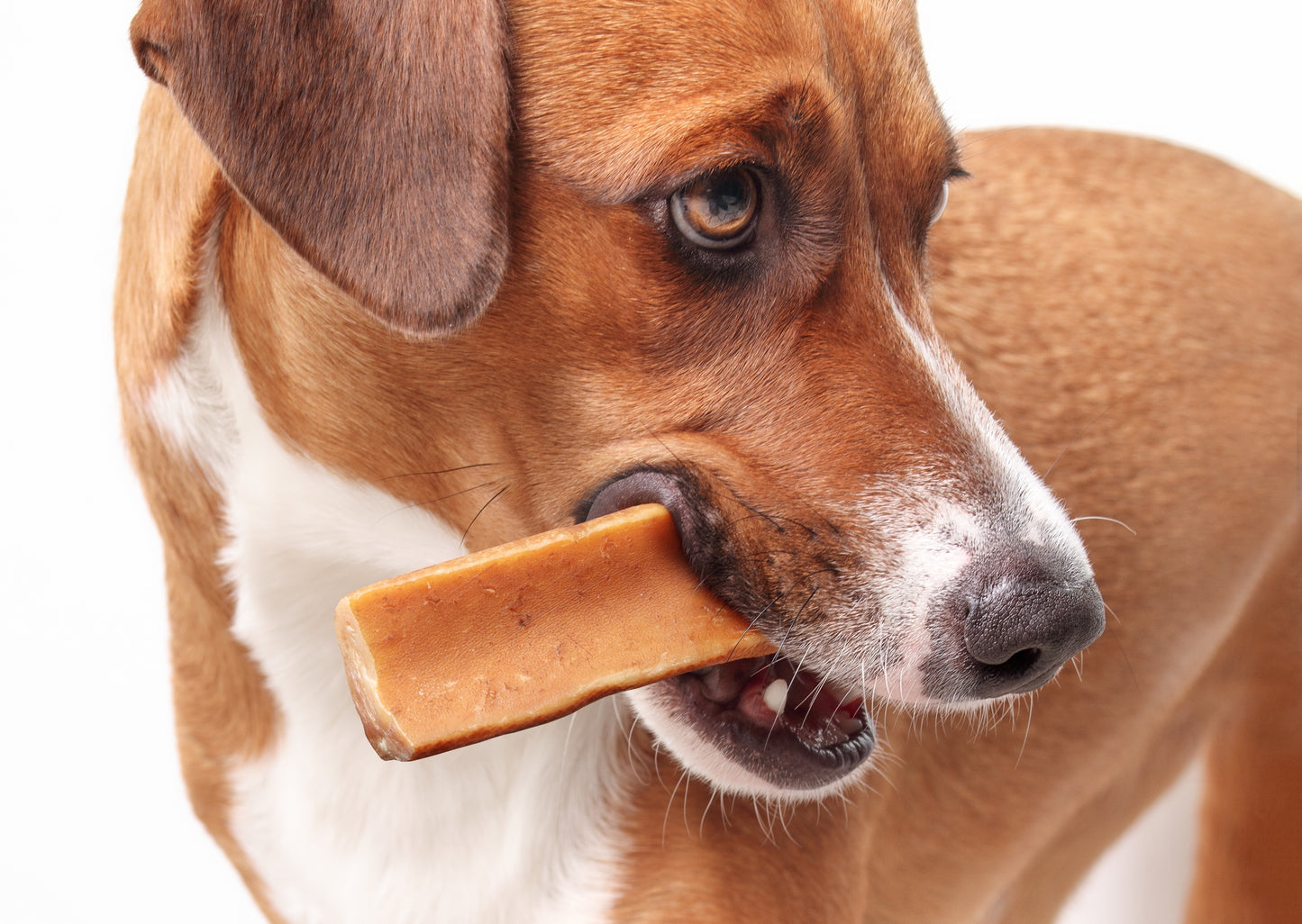 Large Yak Chews (4-5oz)