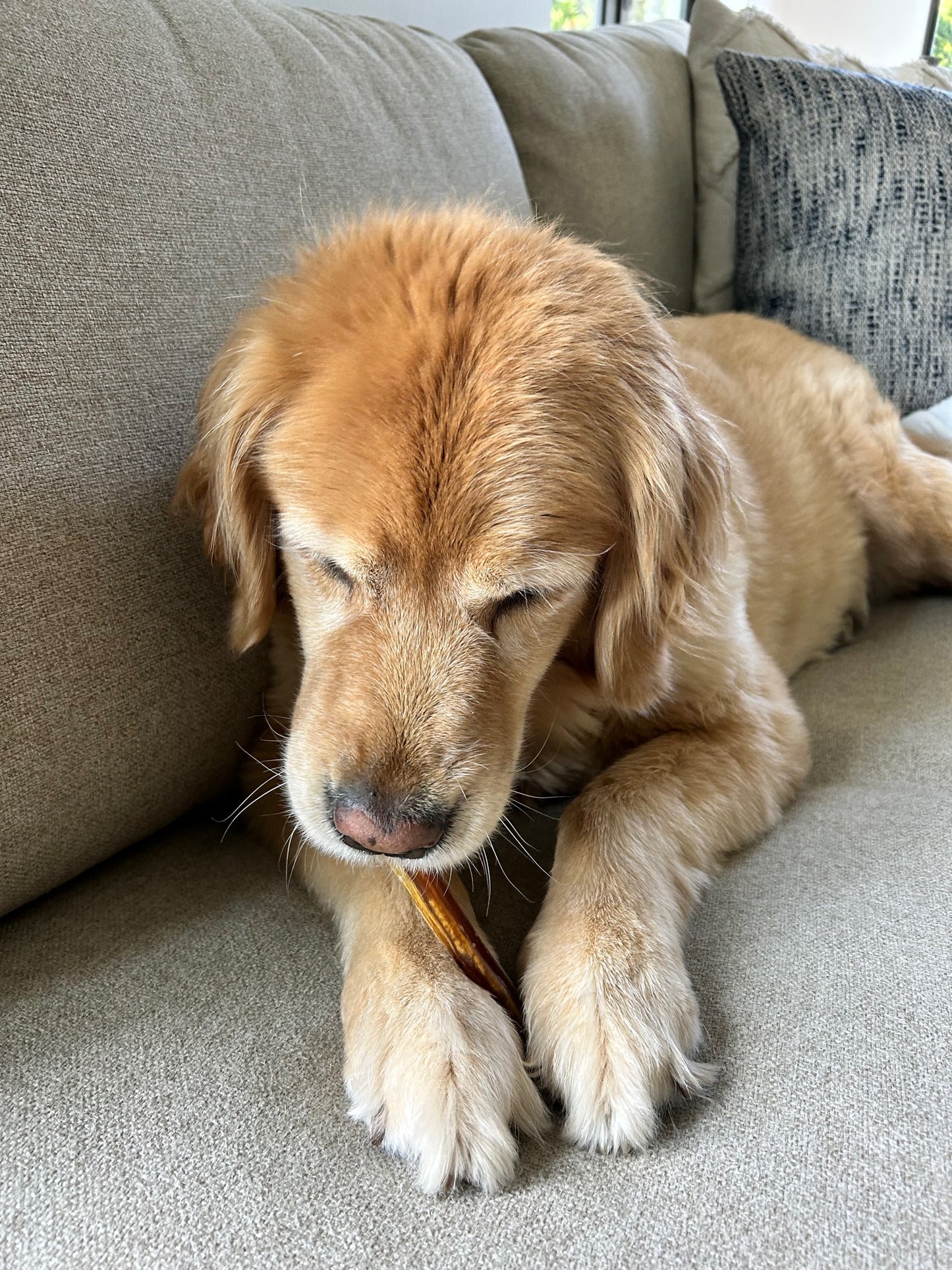 6" Thin Bully Sticks